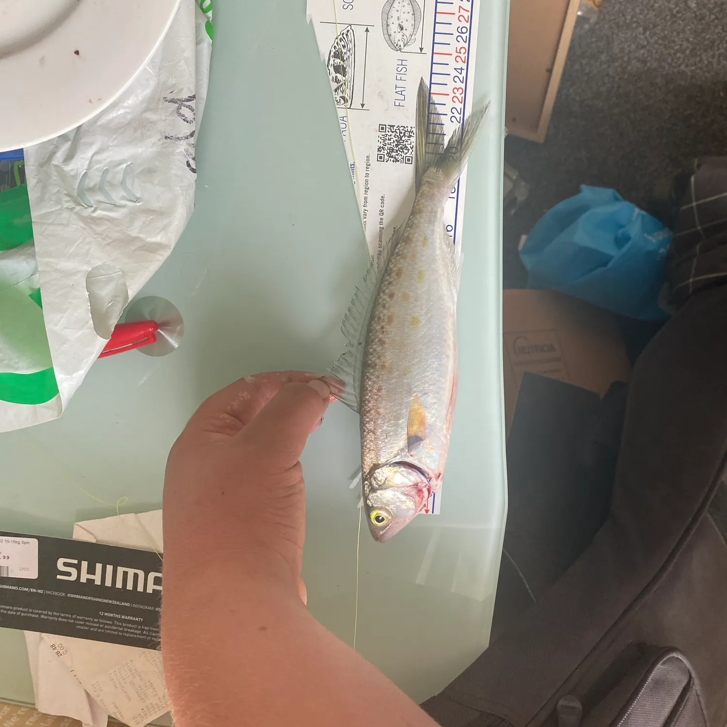 recently logged catches