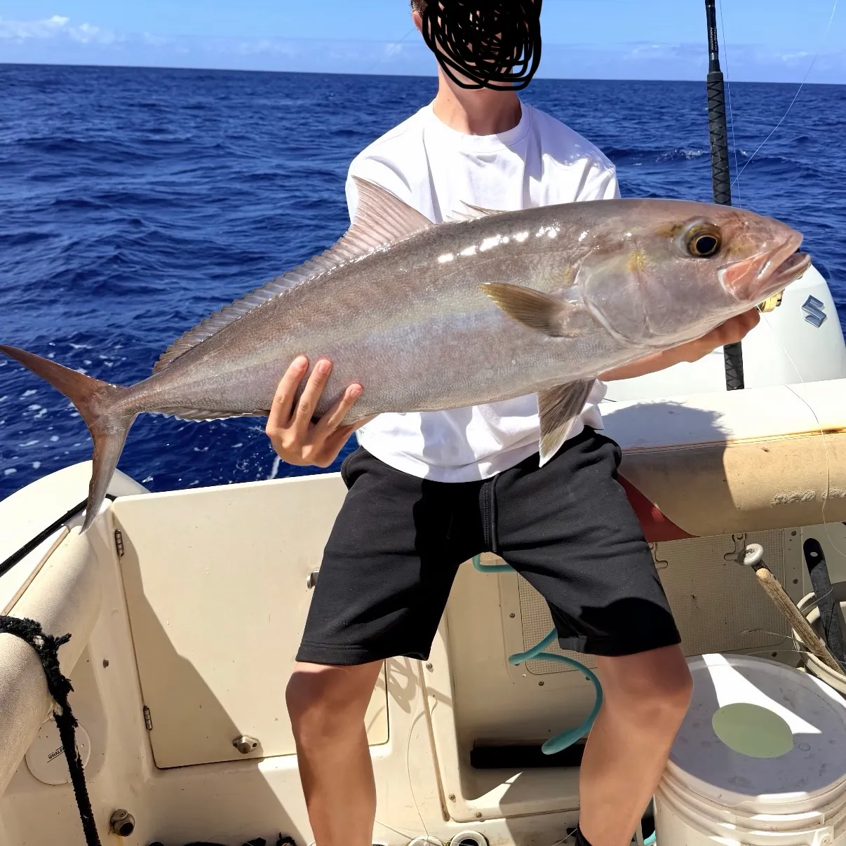 The most recent Greater amberjack catches on Fishbrain