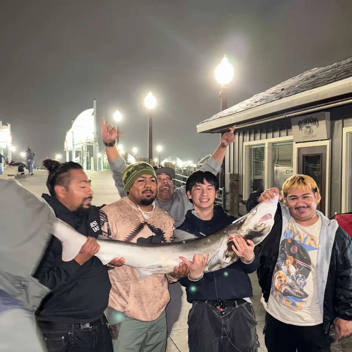 The most recent Bluntnose sixgill shark catches on Fishbrain