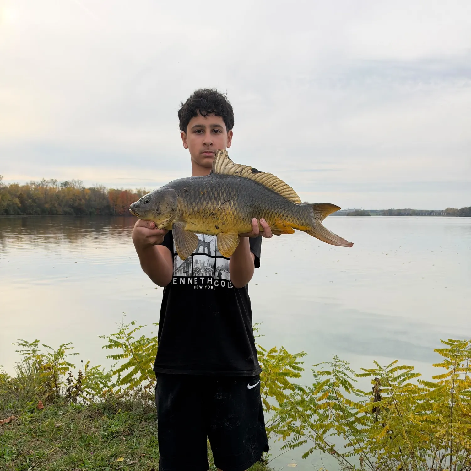 Common carp caught on Fishbrain