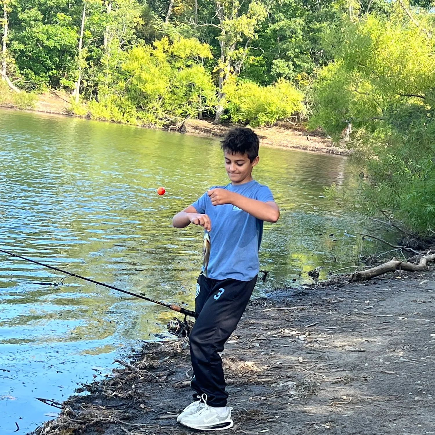 Bluegill caught on Fishbrain