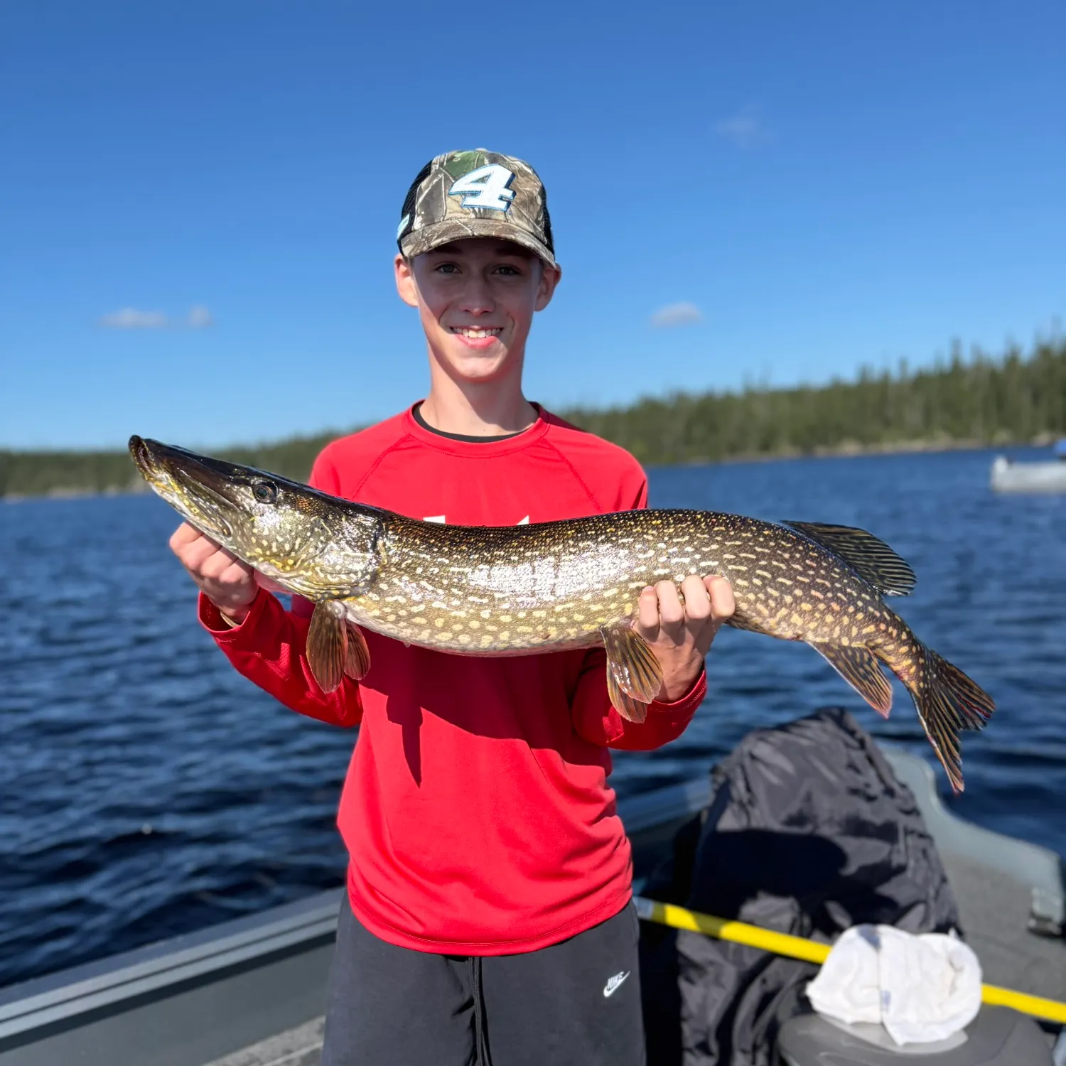 Northern pike caught on Fishbrain