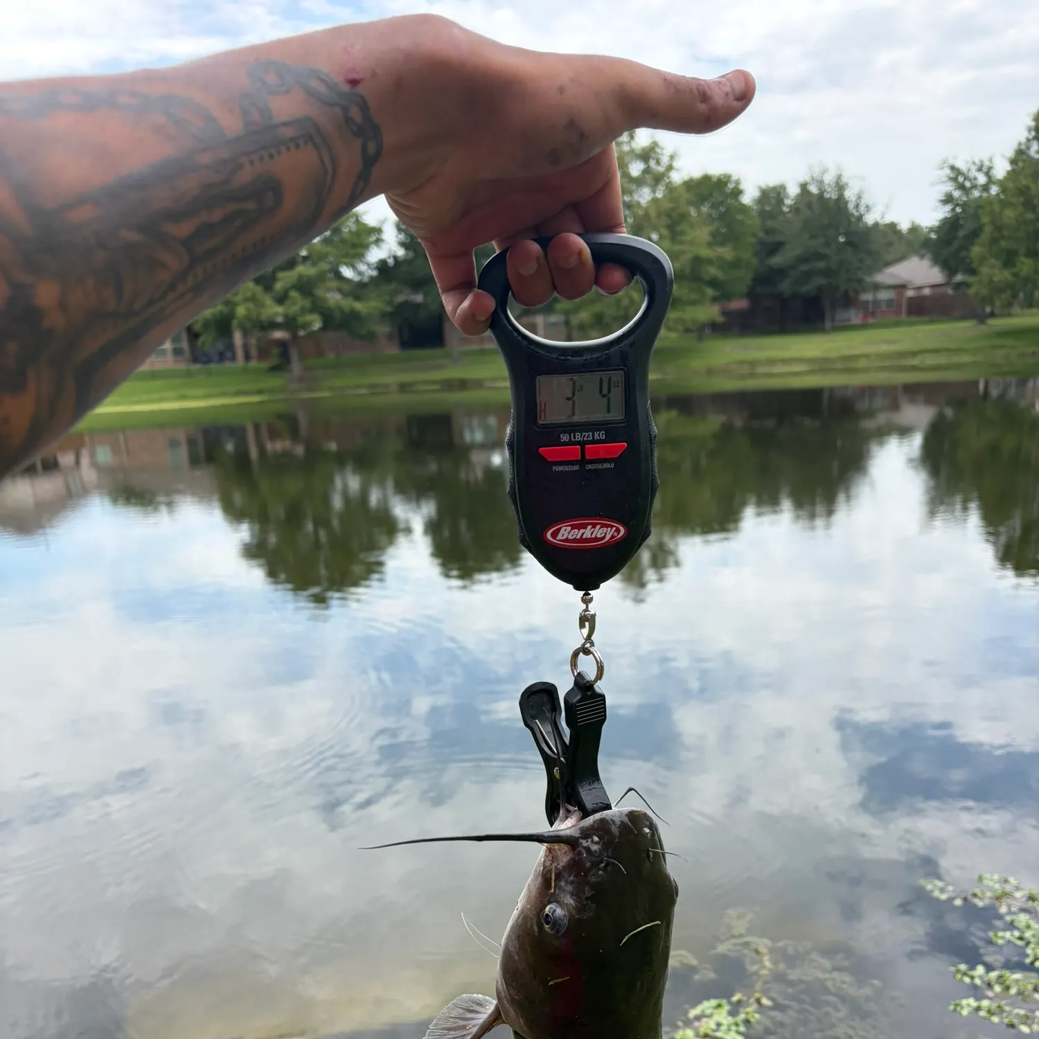 catch