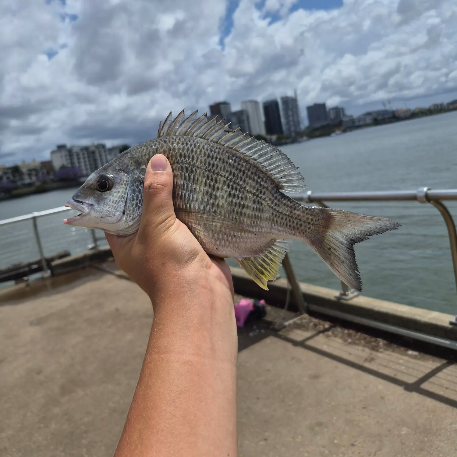 catch