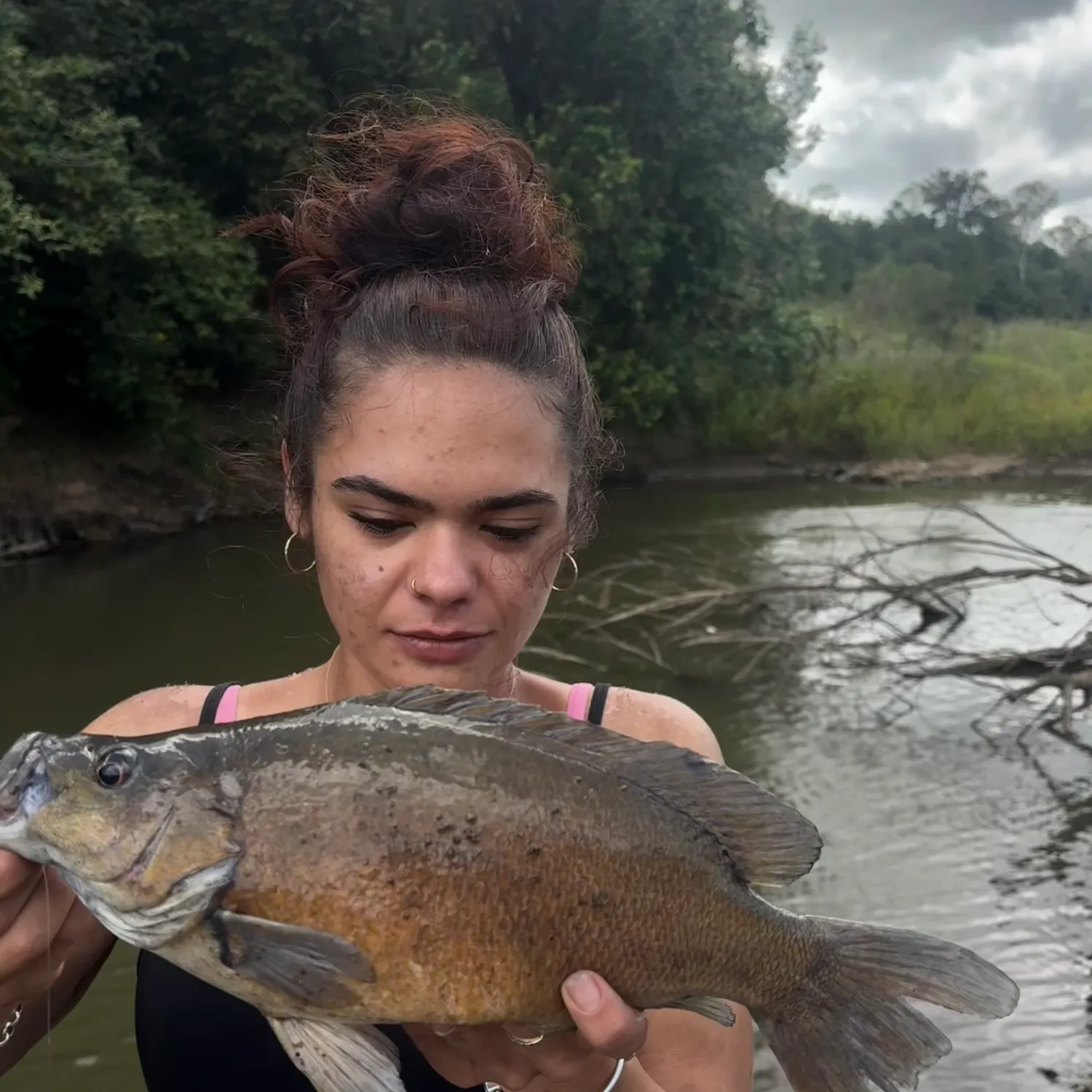 The most recent Sooty grunter catches on Fishbrain