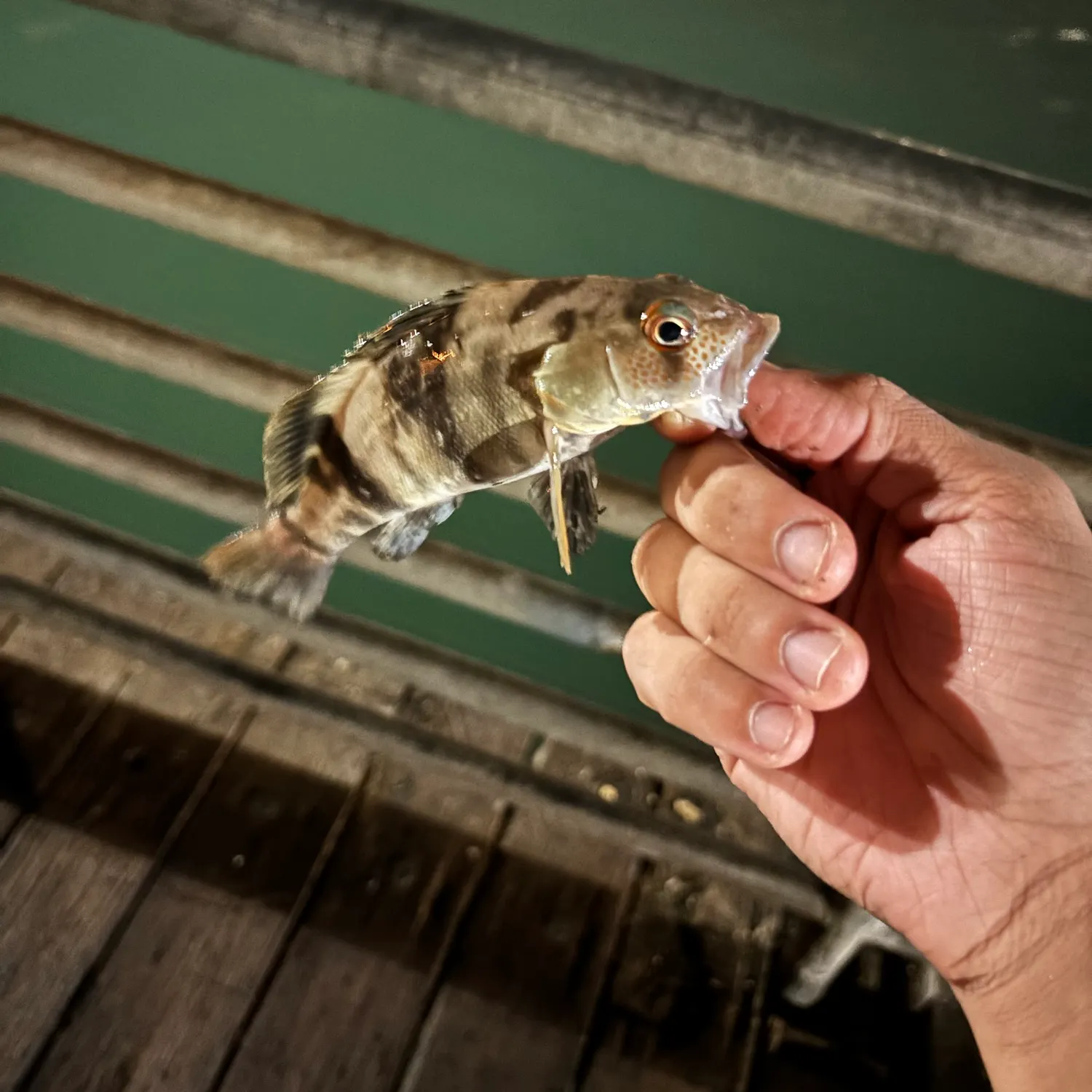 catch
