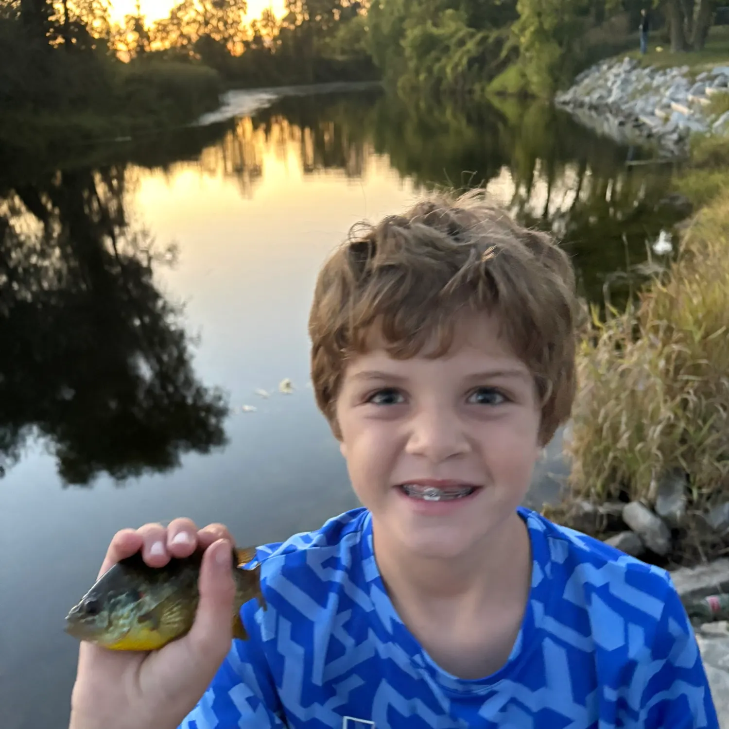 Bluegill caught on Fishbrain