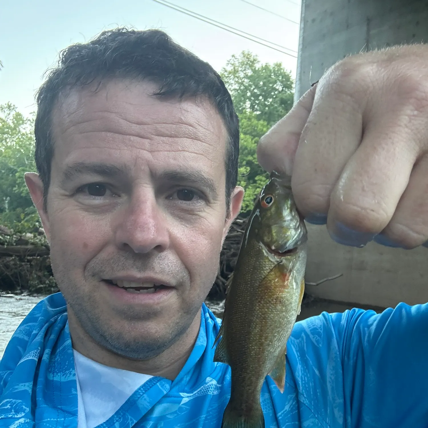 Smallmouth bass caught on Fishbrain