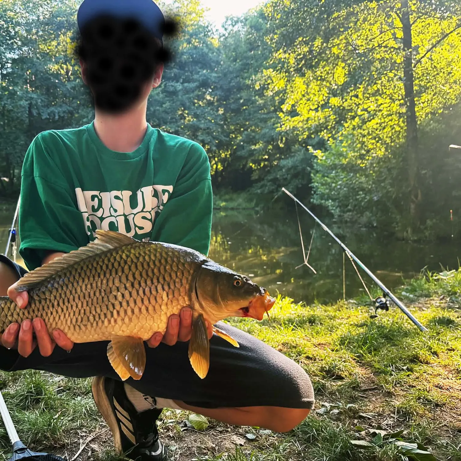Common carp caught on Fishbrain