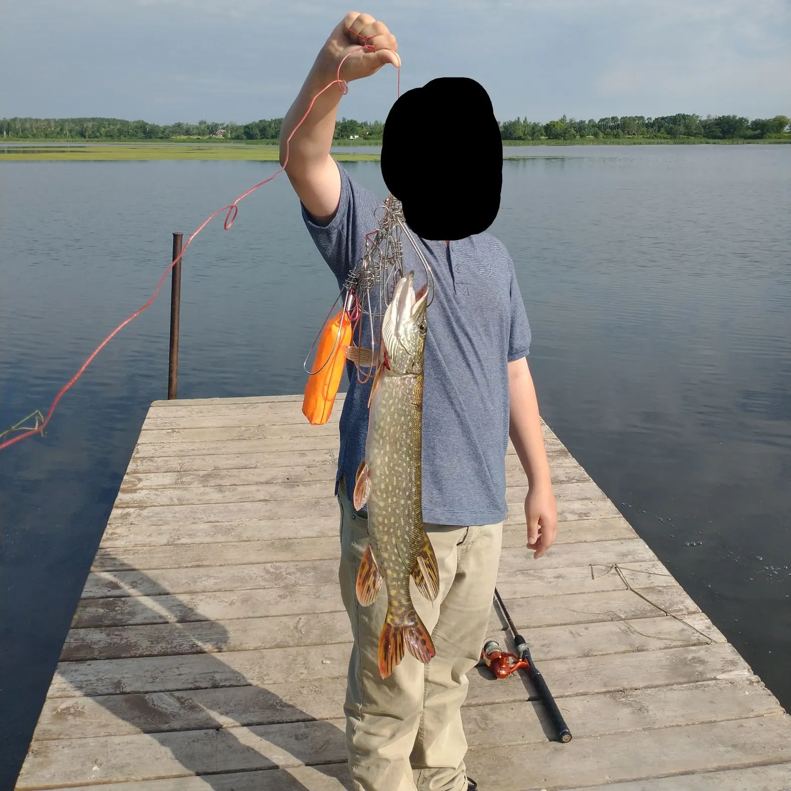 Northern pike caught on Fishbrain