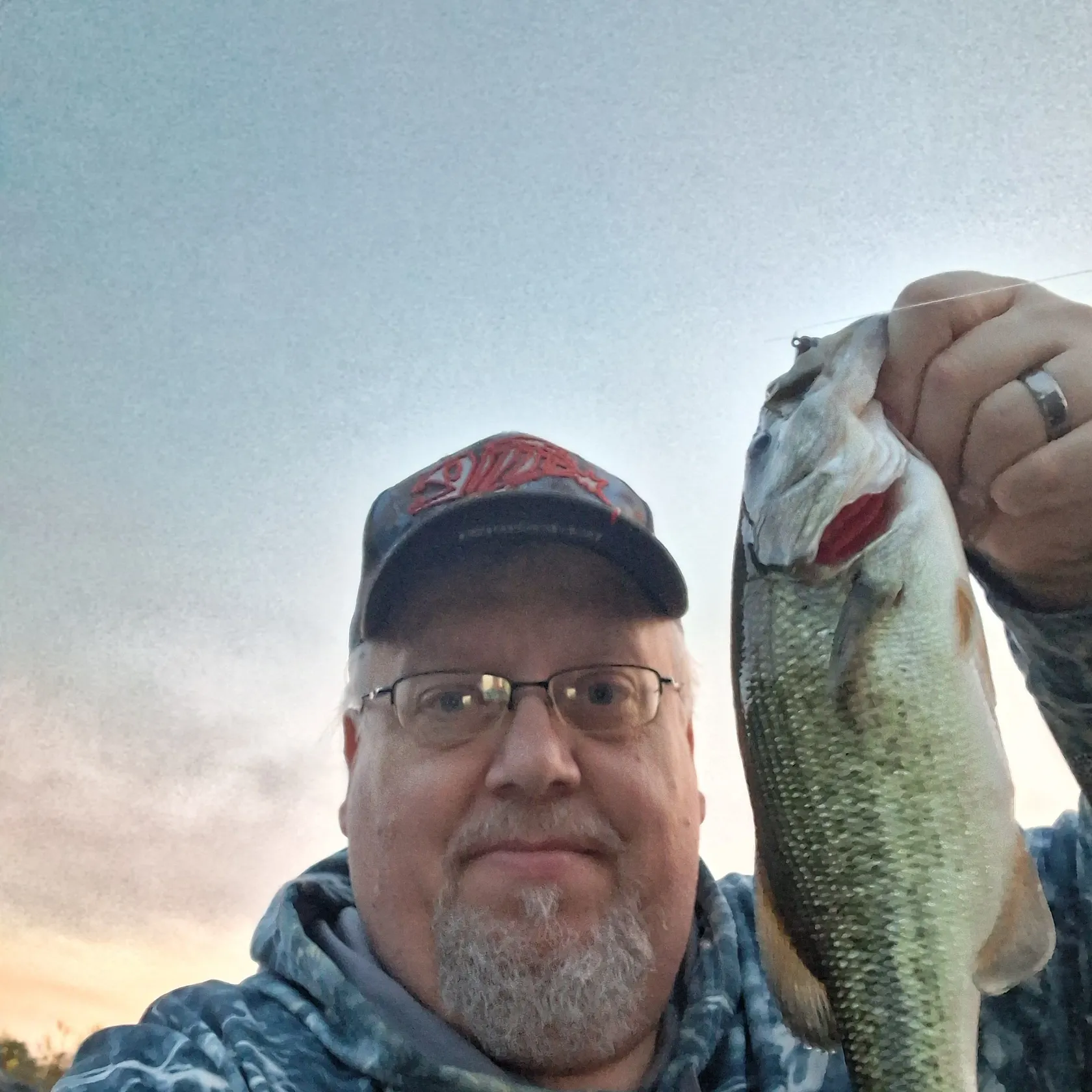 Fish caught on Fishbrain