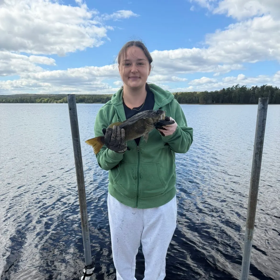 Smallmouth bass caught on Fishbrain