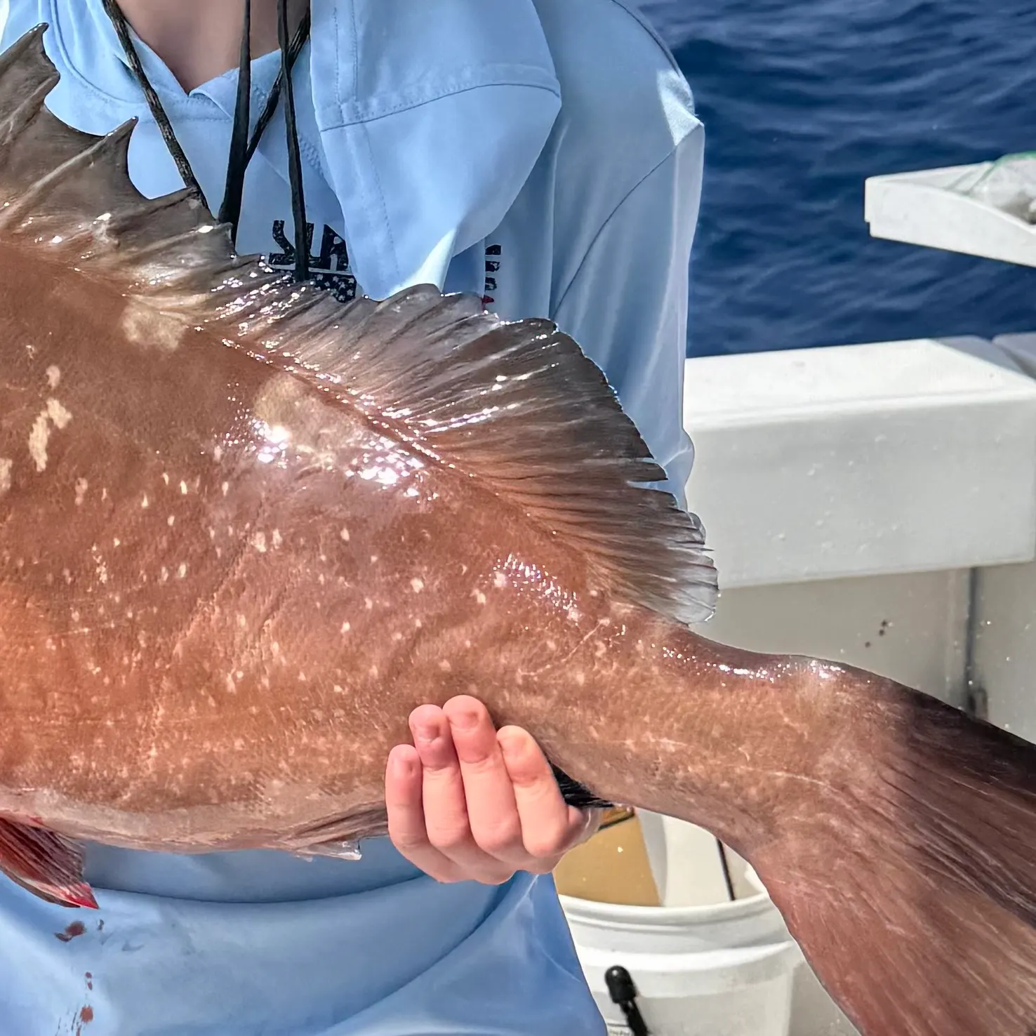 The most recent Red grouper catches on Fishbrain
