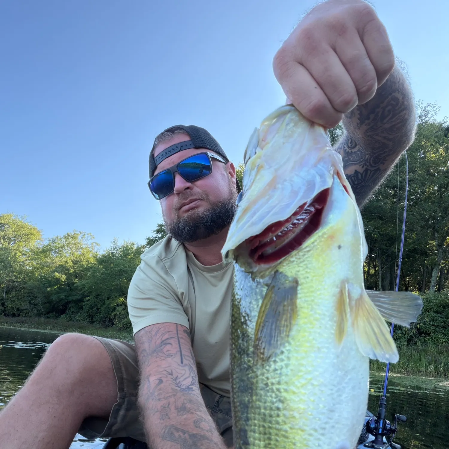 Largemouth bass caught on Fishbrain