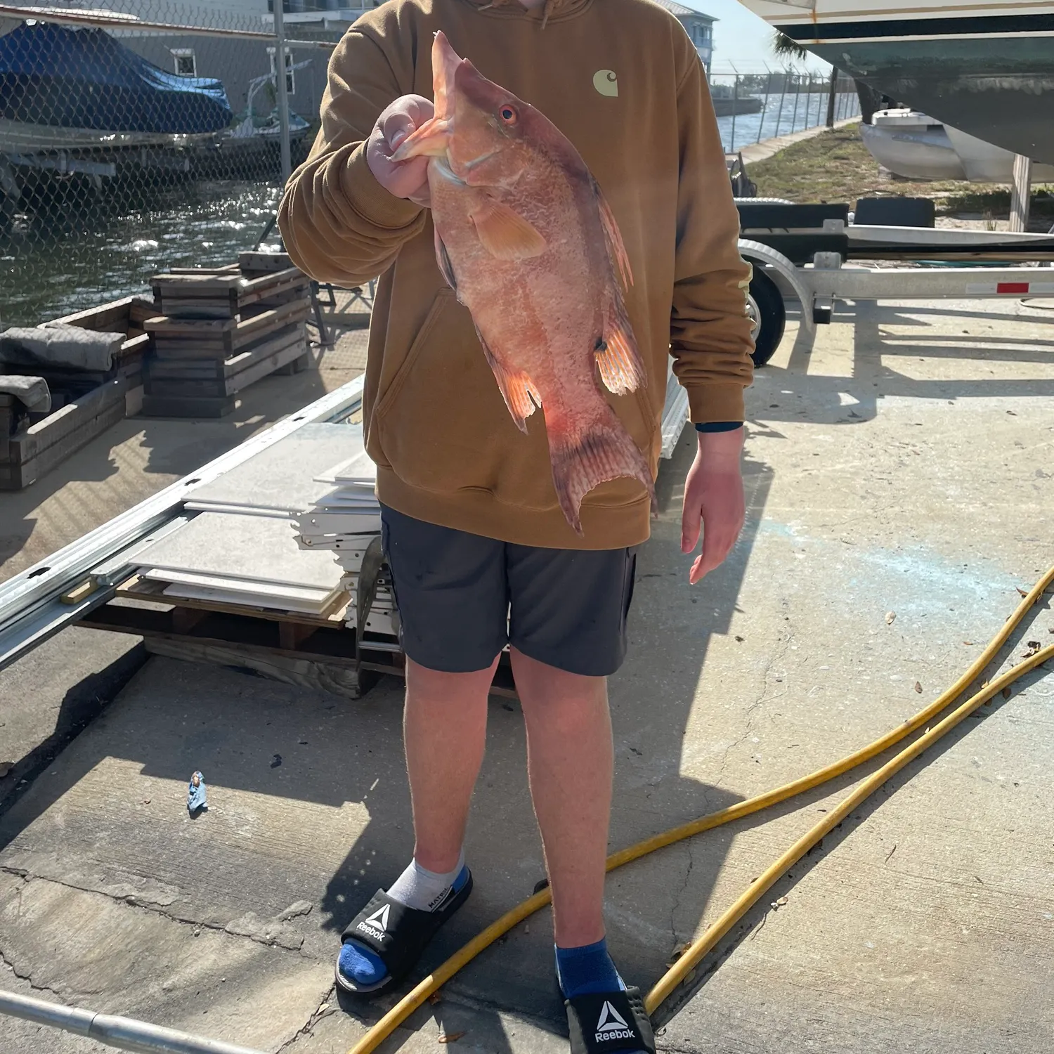 The most recent Hogfish catches on Fishbrain