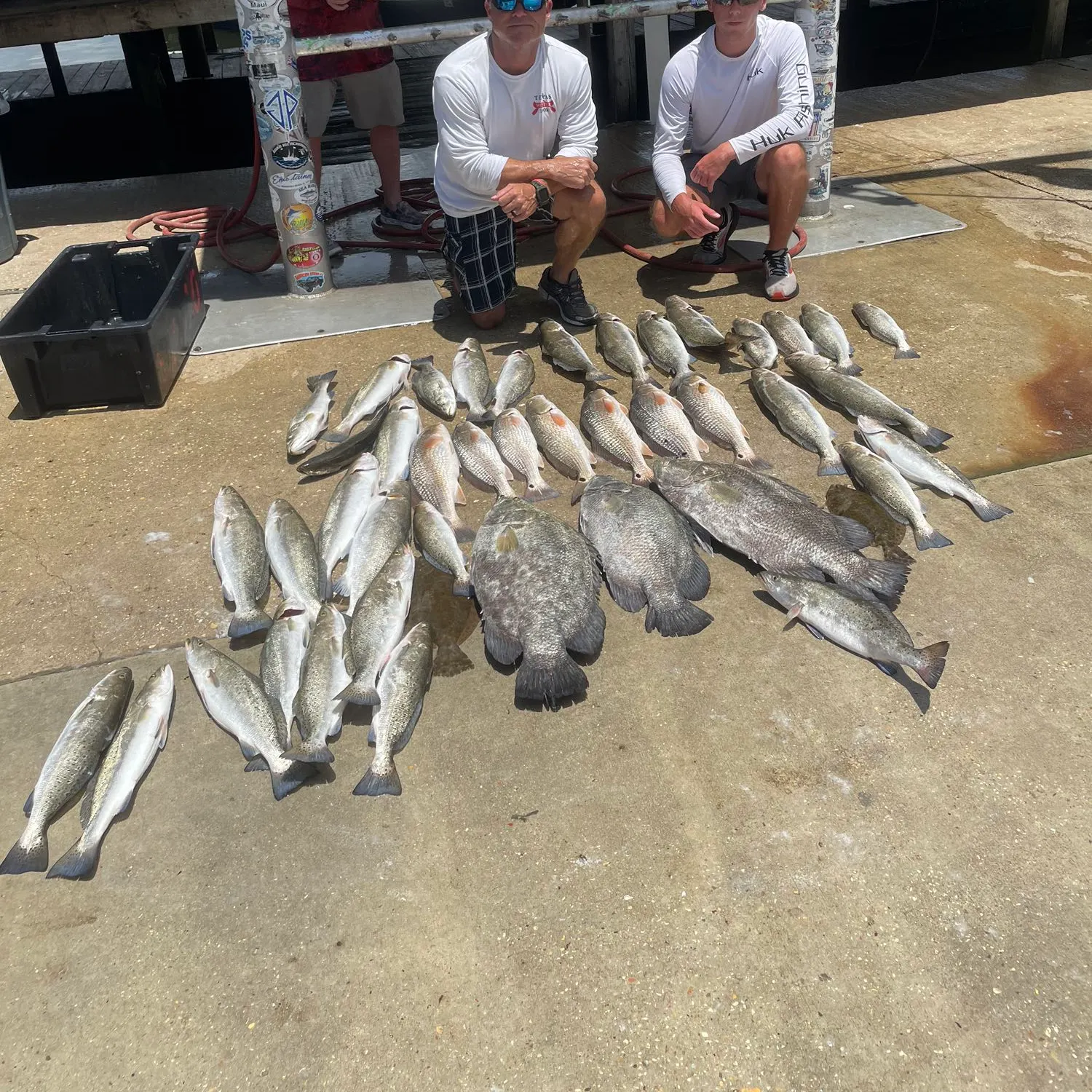 recently logged catches