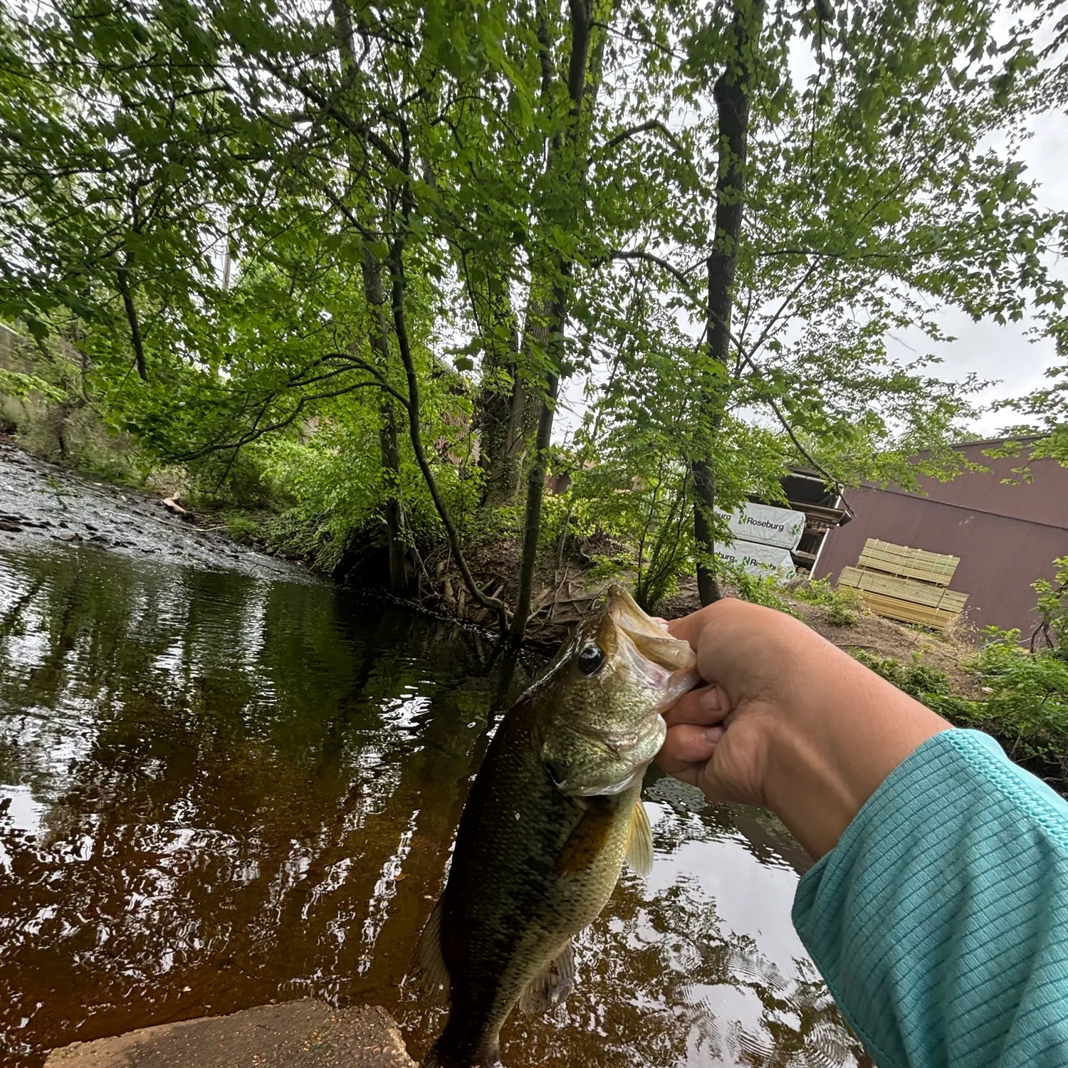 catch