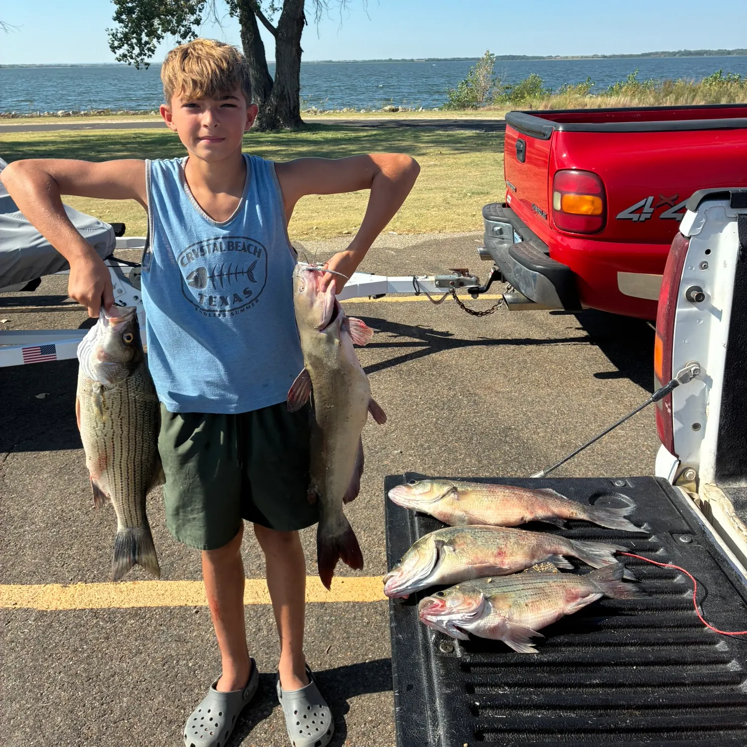 Channel catfish caught on Fishbrain