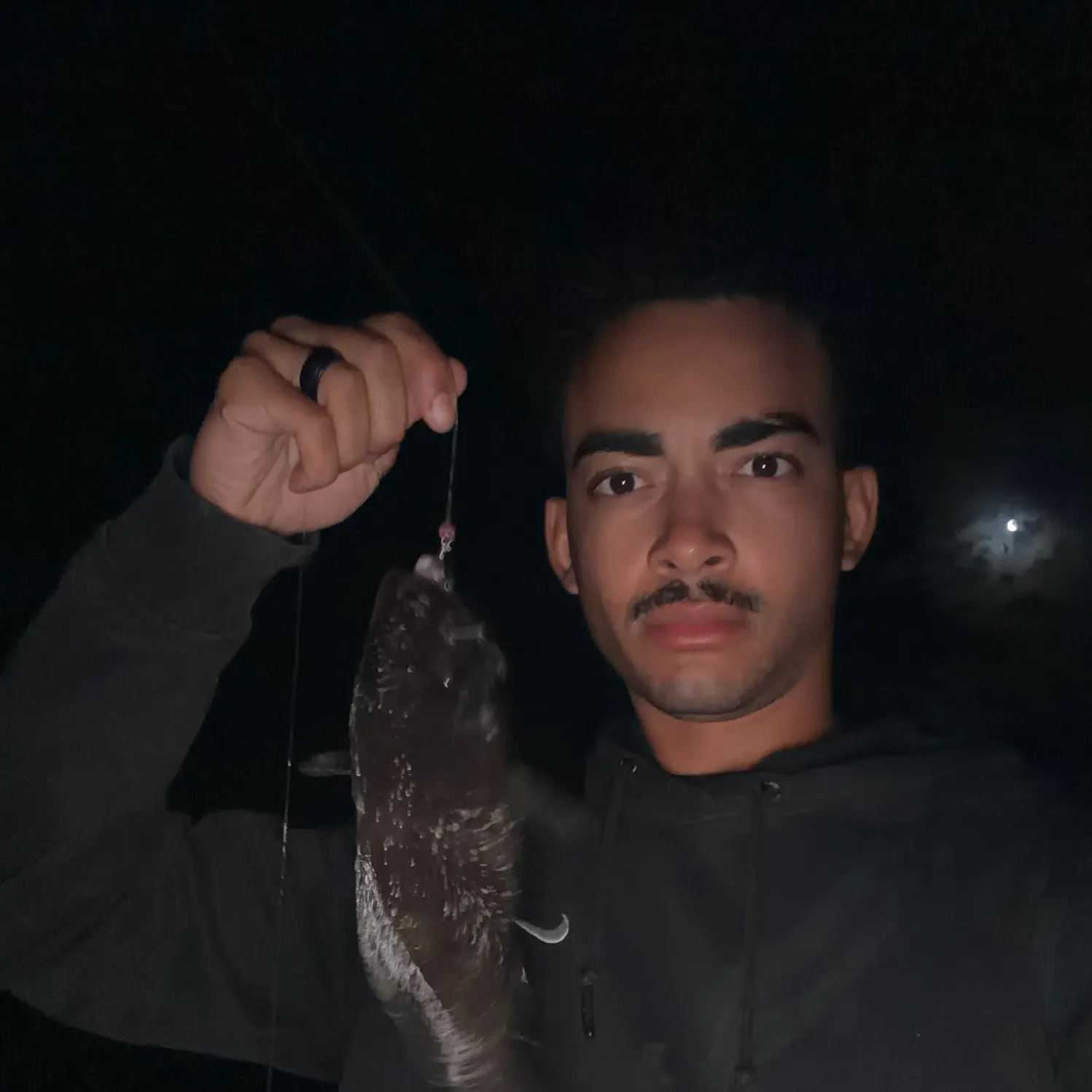 The most recent Black croaker catches on Fishbrain