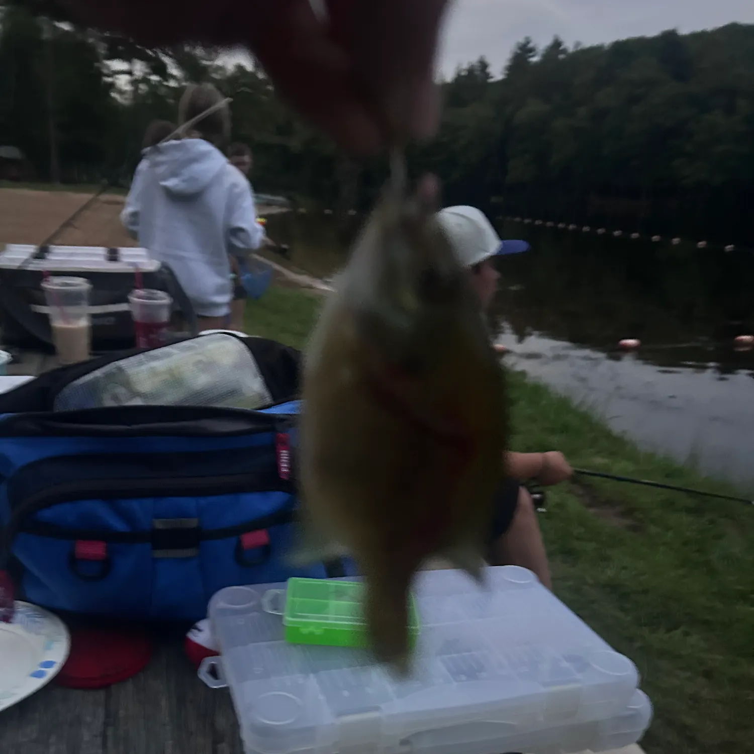 catch