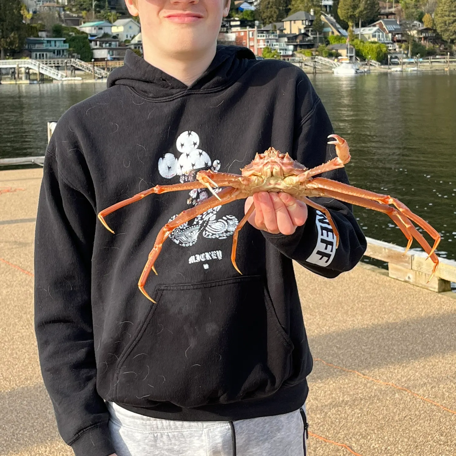 The most recent European spider crab catches on Fishbrain