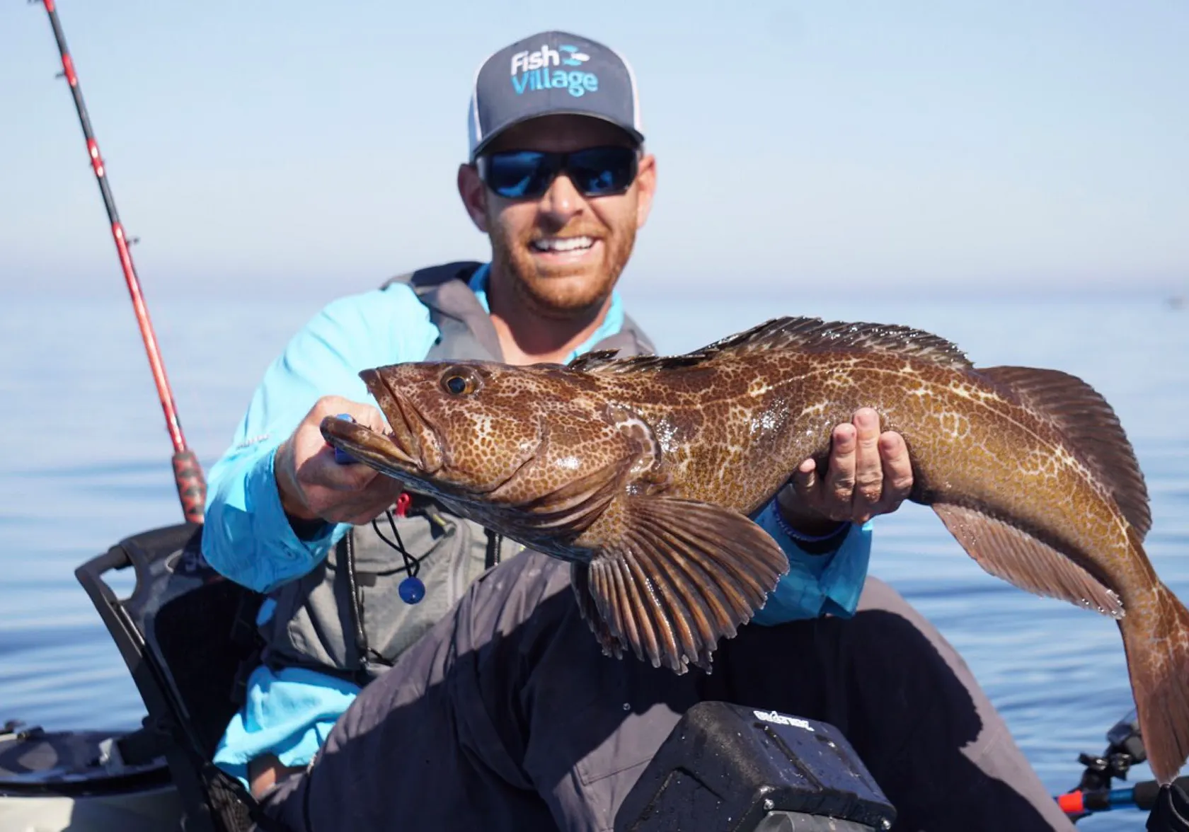 Lingcod