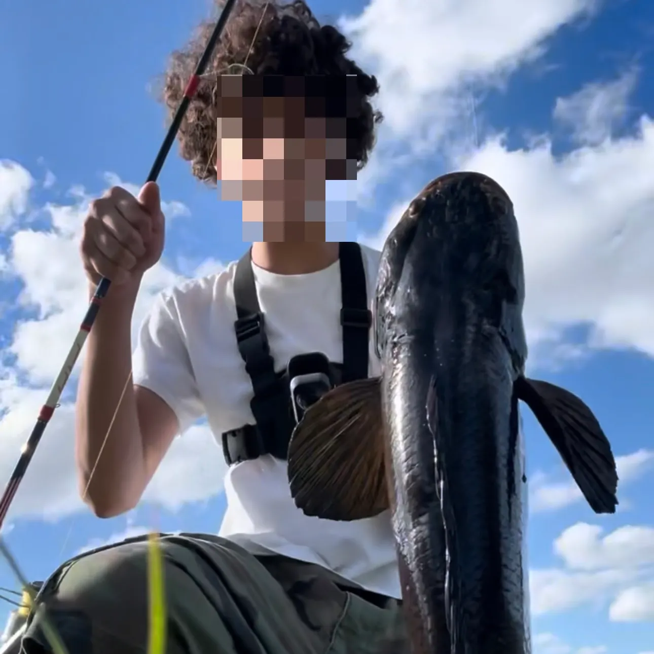 Bullseye snakehead caught on Fishbrain