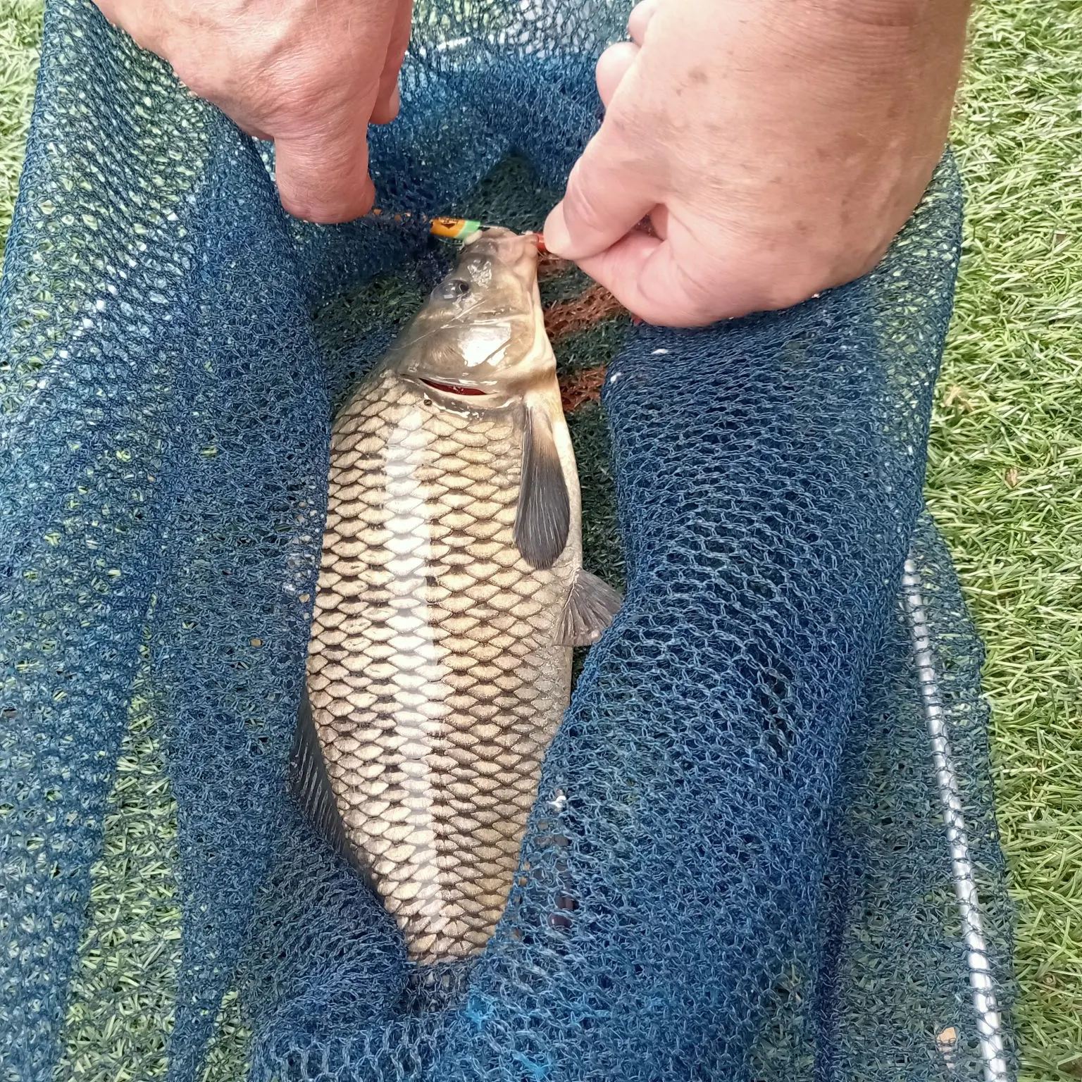 catch
