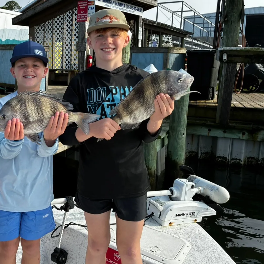 The most recent Sheepshead catches on Fishbrain