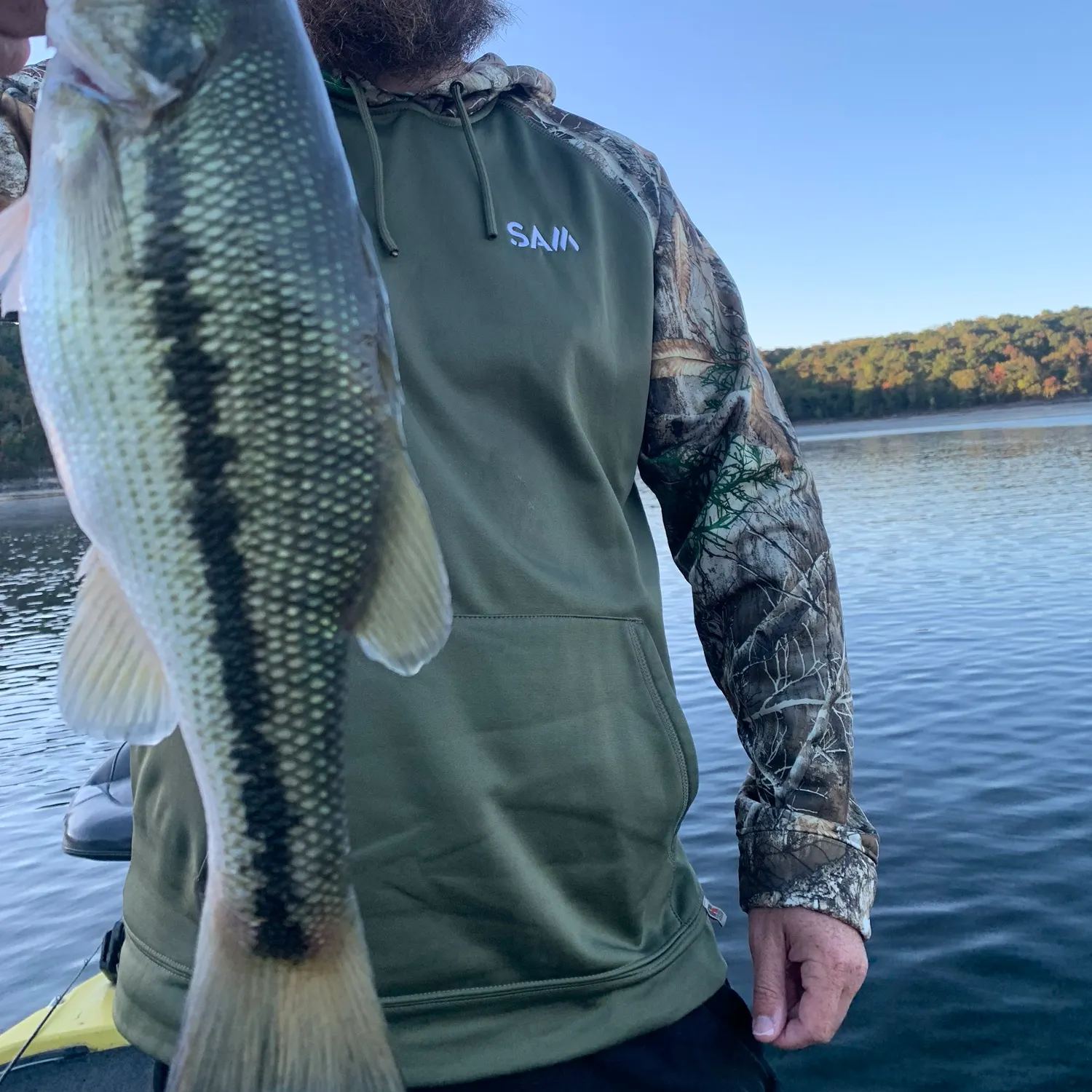 Spotted bass caught on Fishbrain