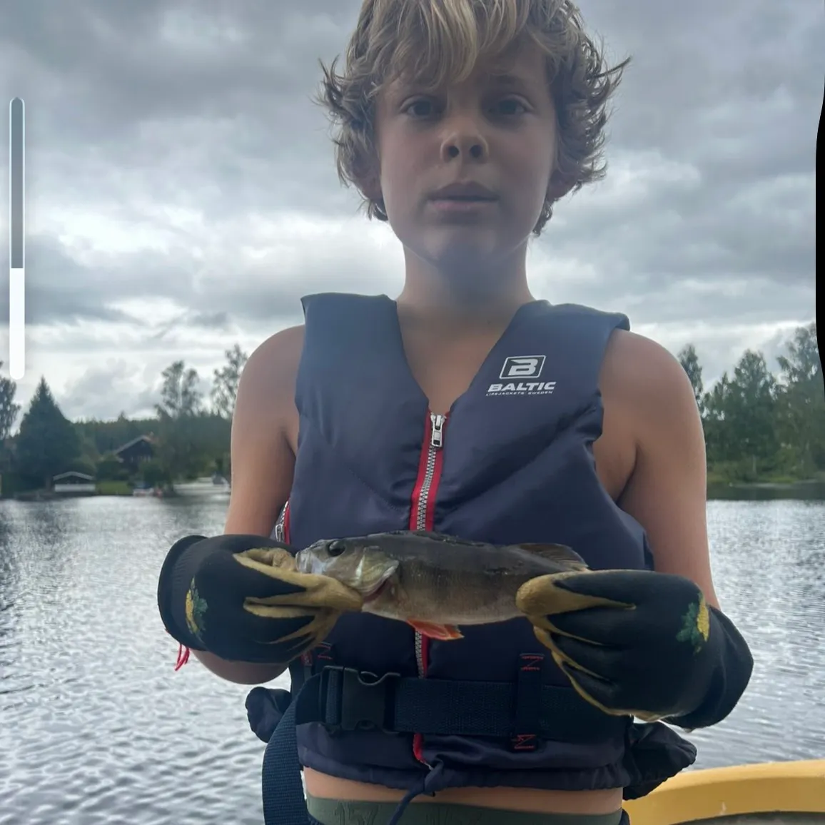European perch caught on Fishbrain
