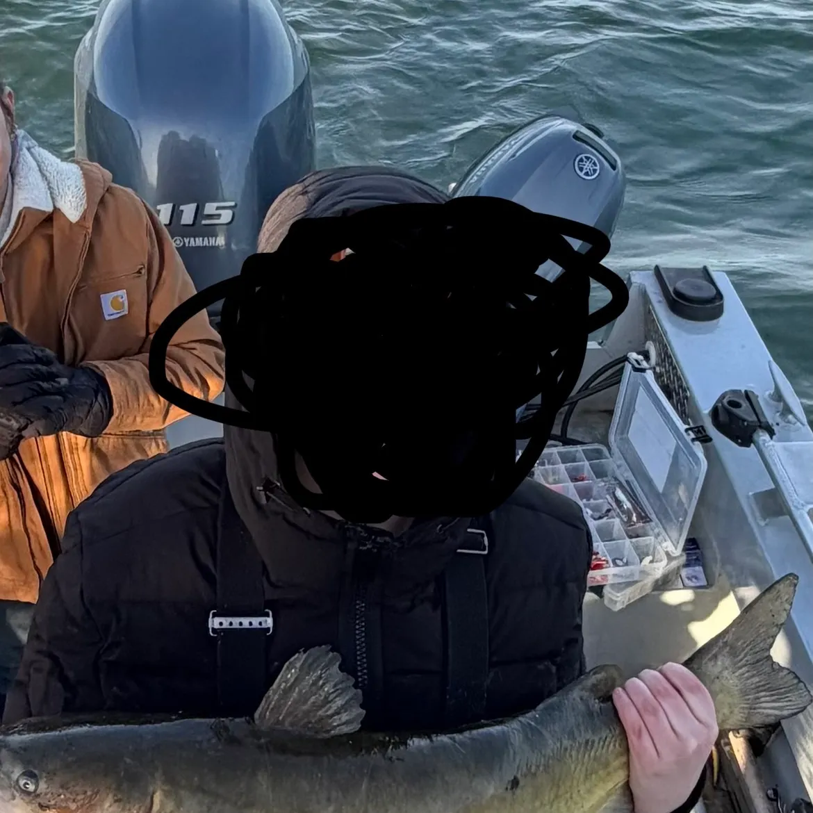 Channel catfish caught on Fishbrain
