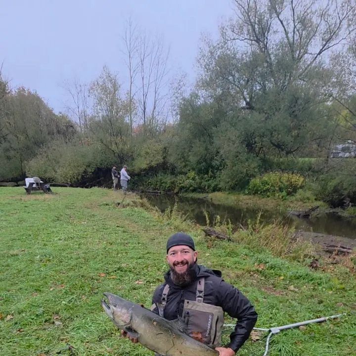 Chinook salmon caught on Fishbrain