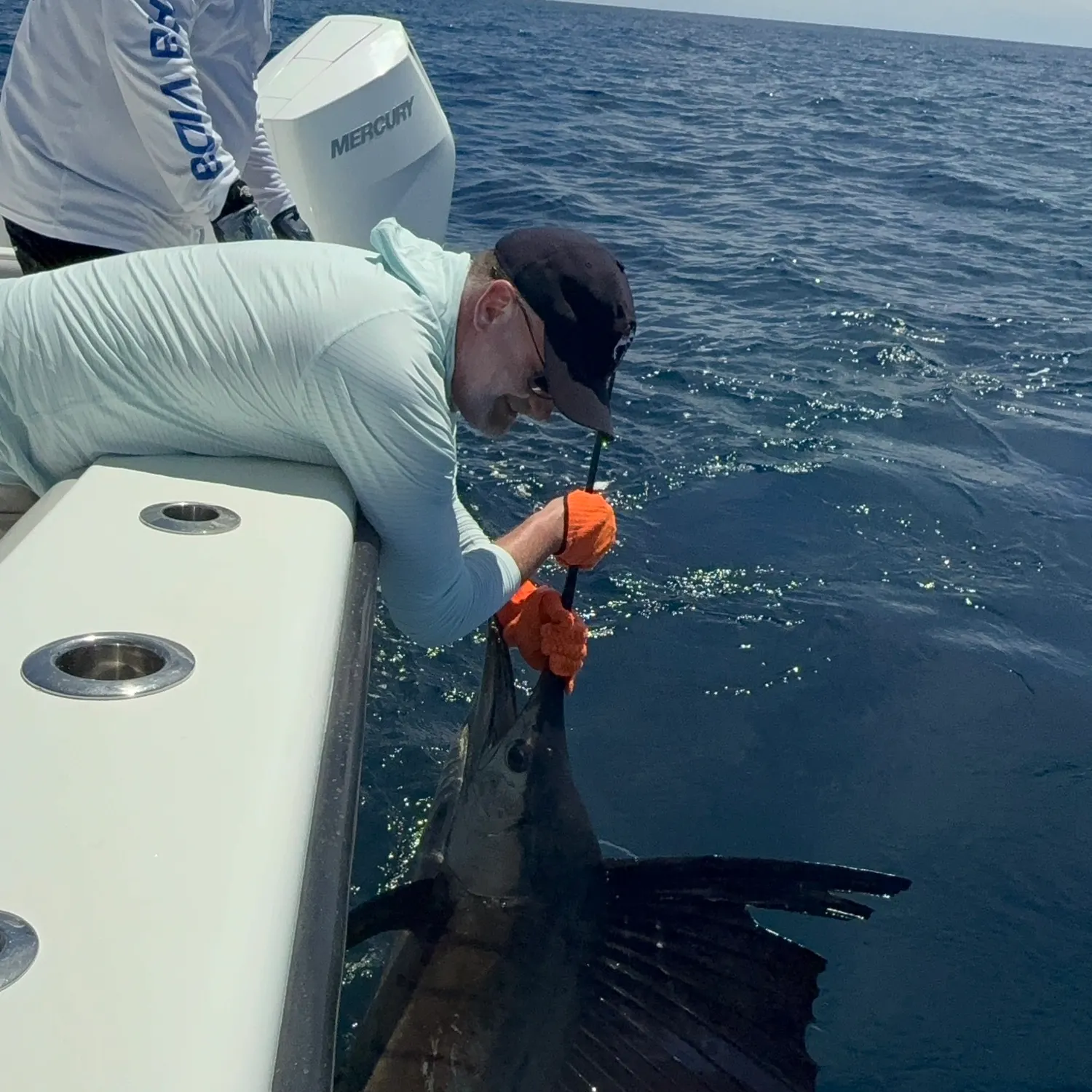 The most recent Atlantic blue marlin catches on Fishbrain