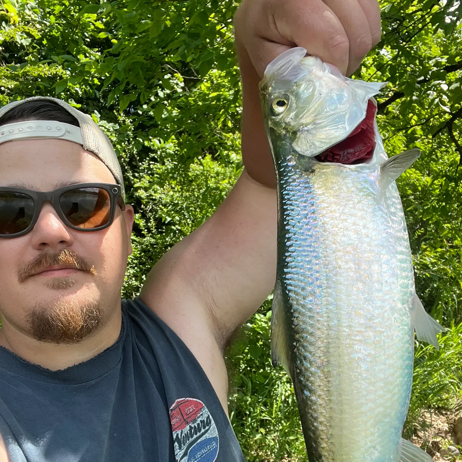 most liked catch image