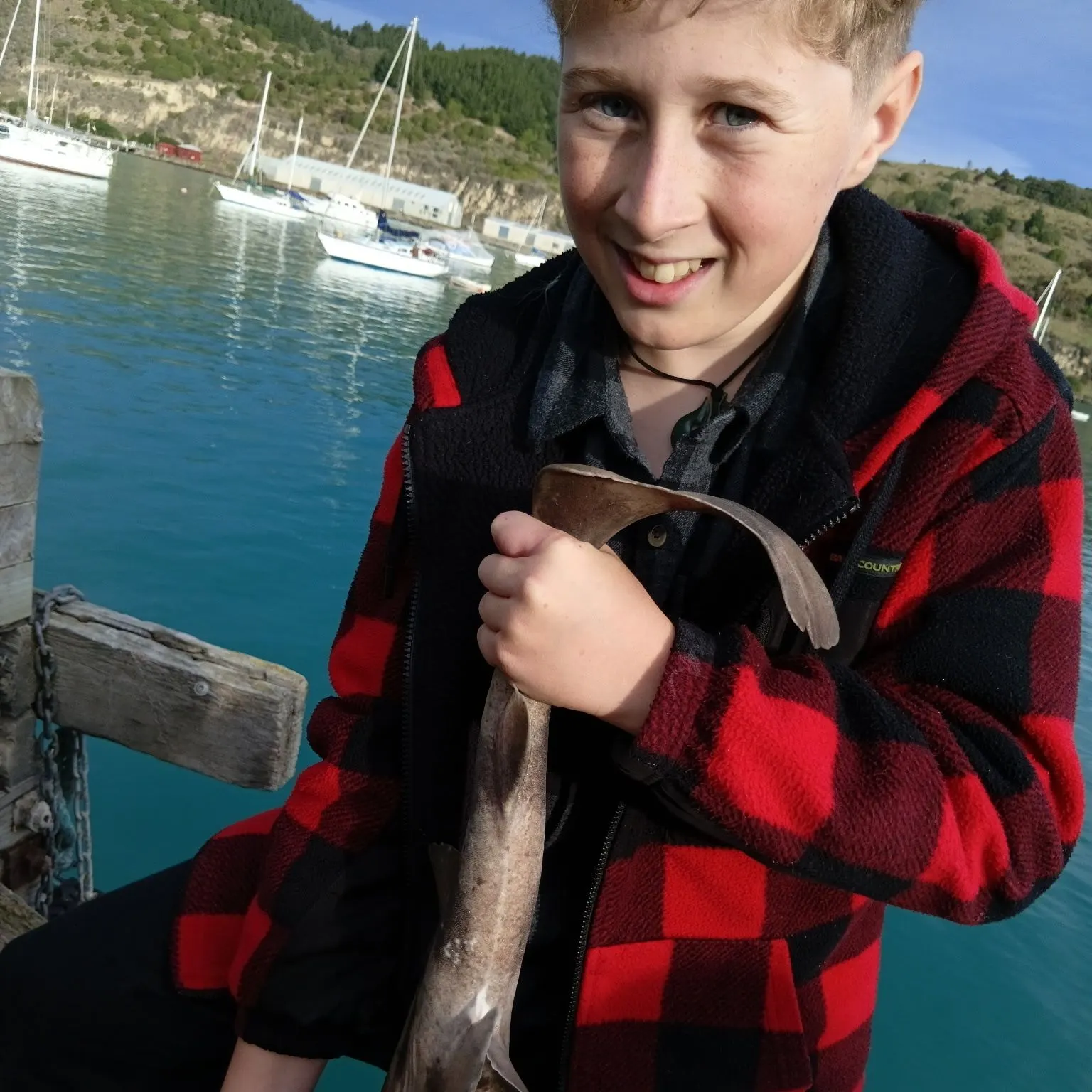 The most recent Speckled carpetshark catches on Fishbrain