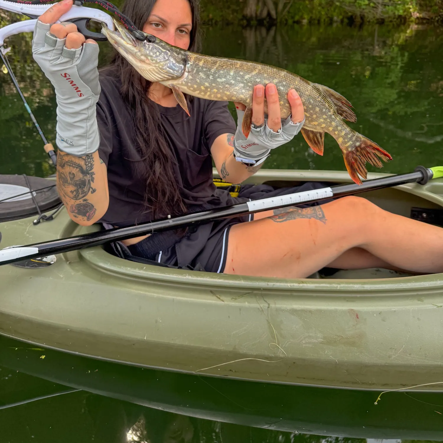 recently logged catches