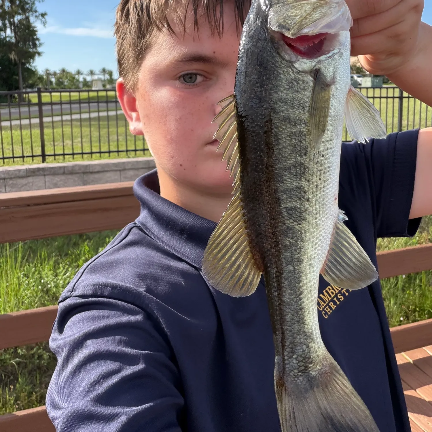 The most recent Florida bass catches on Fishbrain