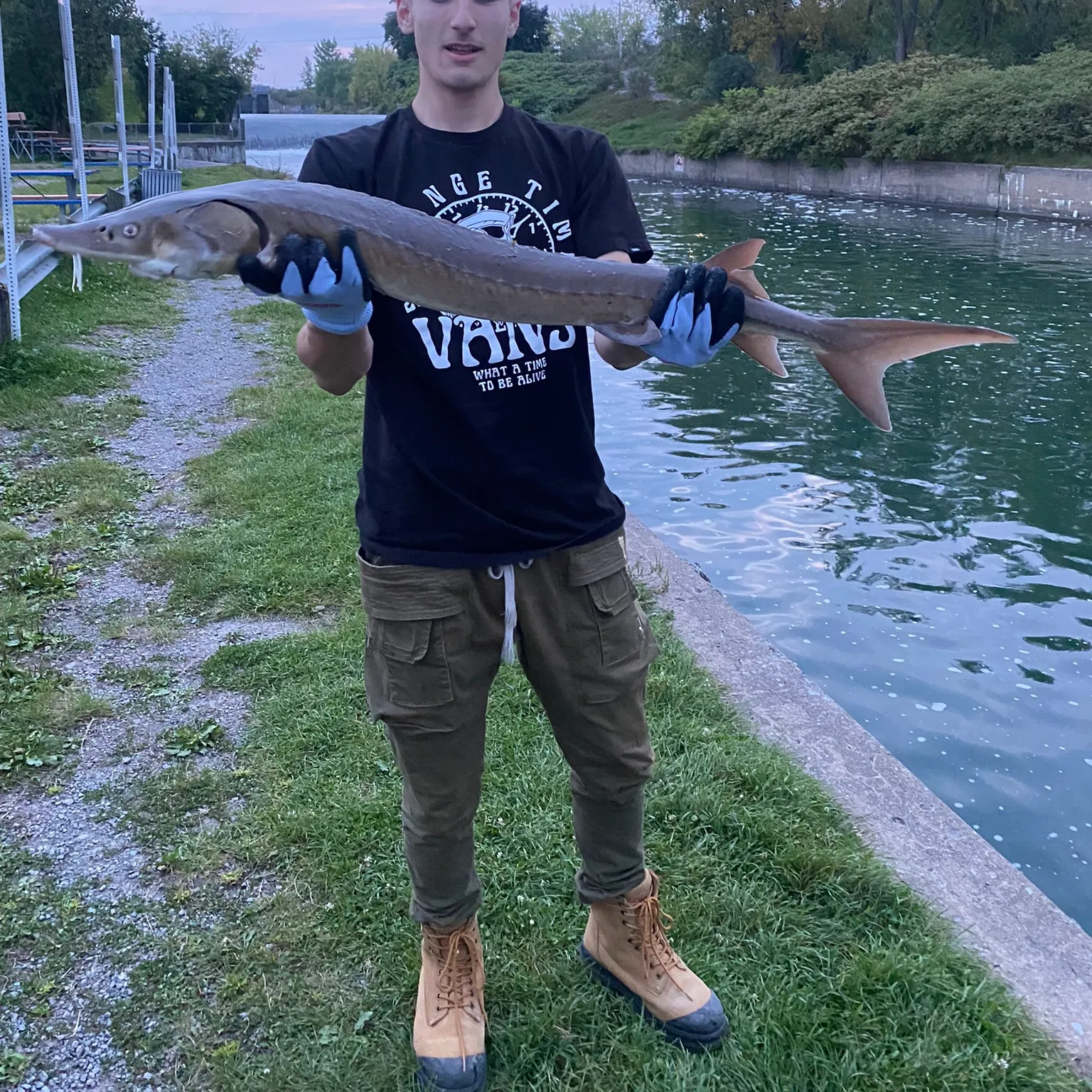 catch