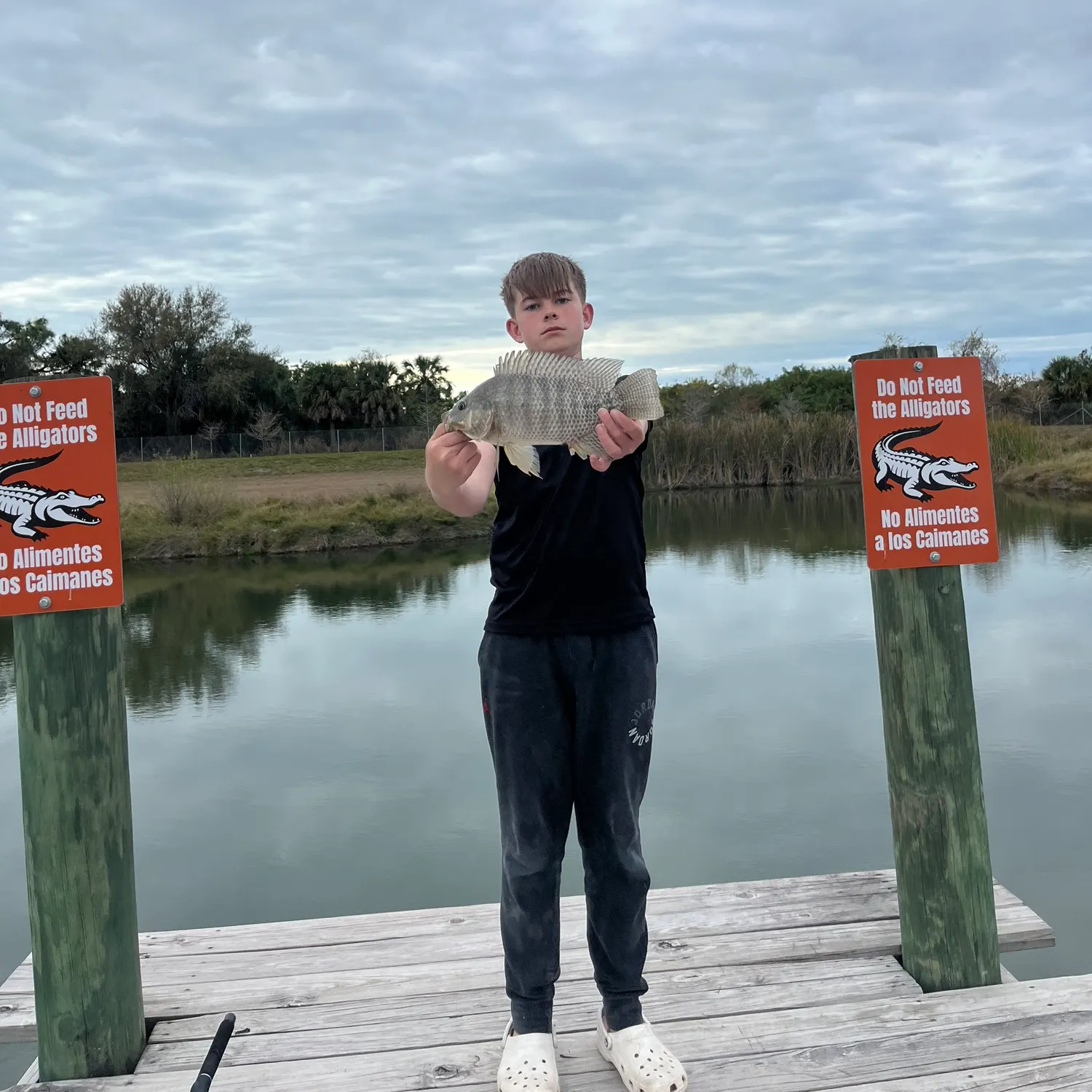 The most recent Nile tilapia catches on Fishbrain