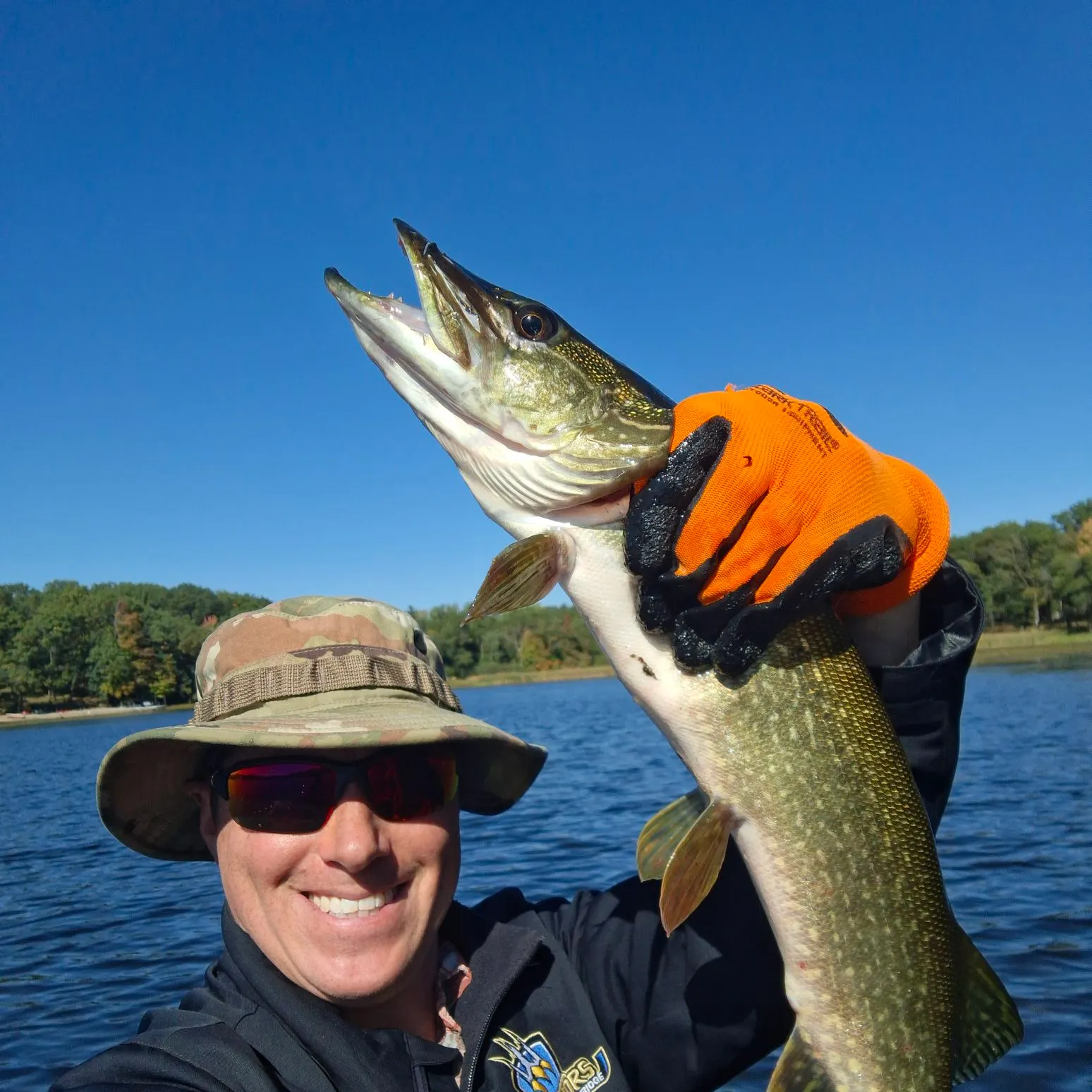 Northern pike caught on Fishbrain