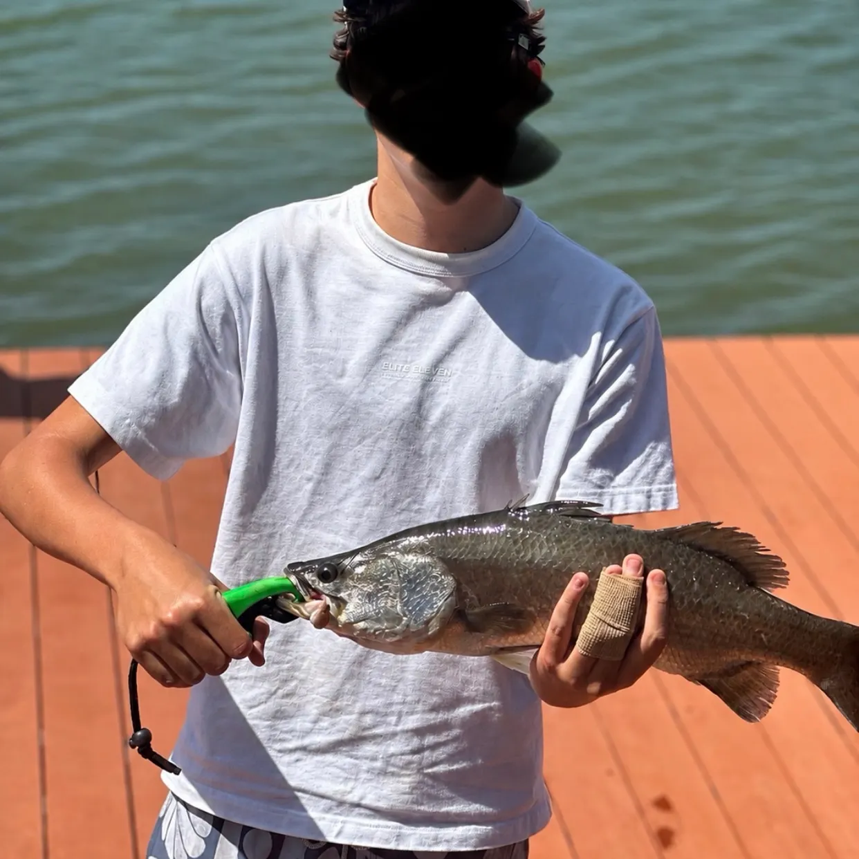 The most recent Barramundi catches on Fishbrain