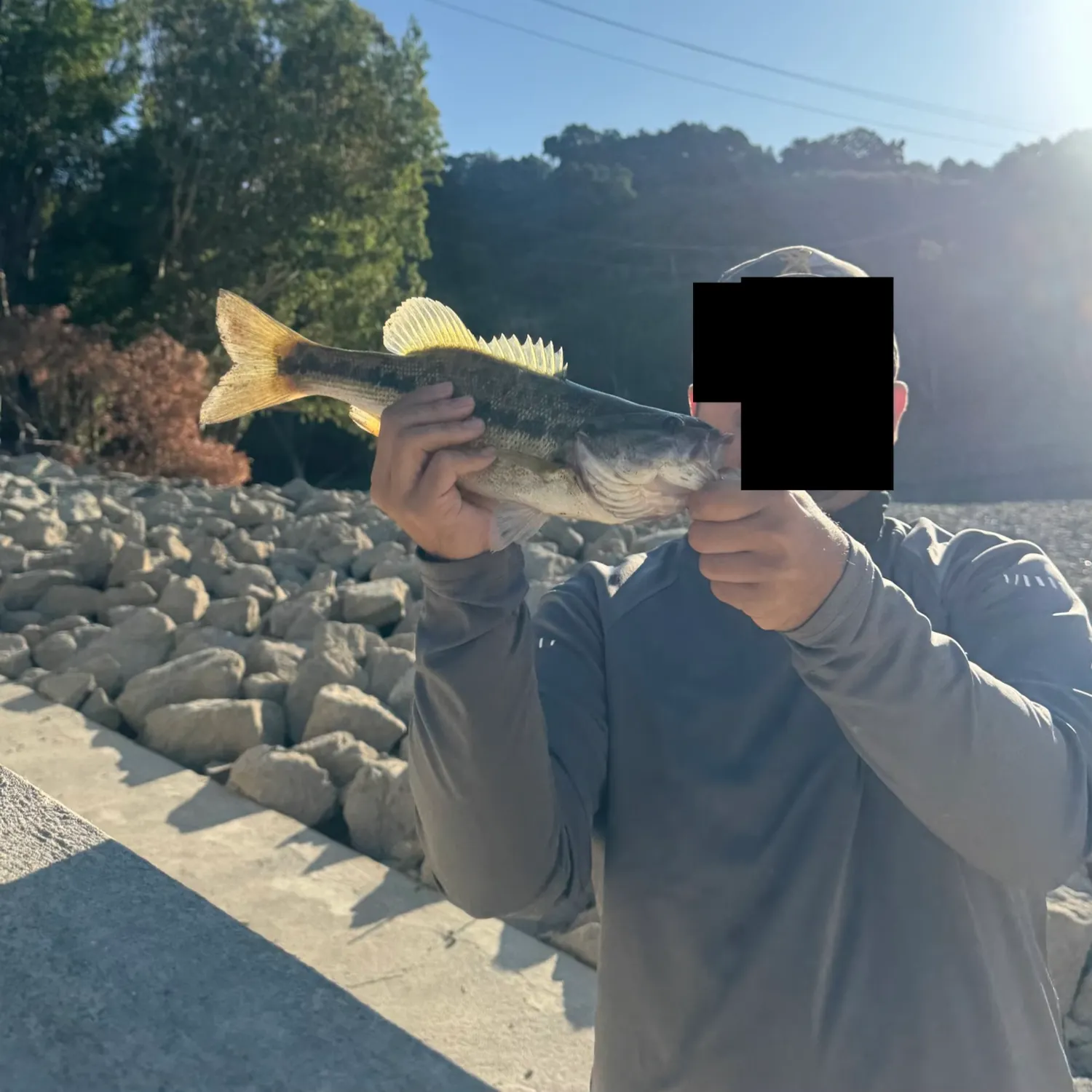 Spotted bass caught on Fishbrain