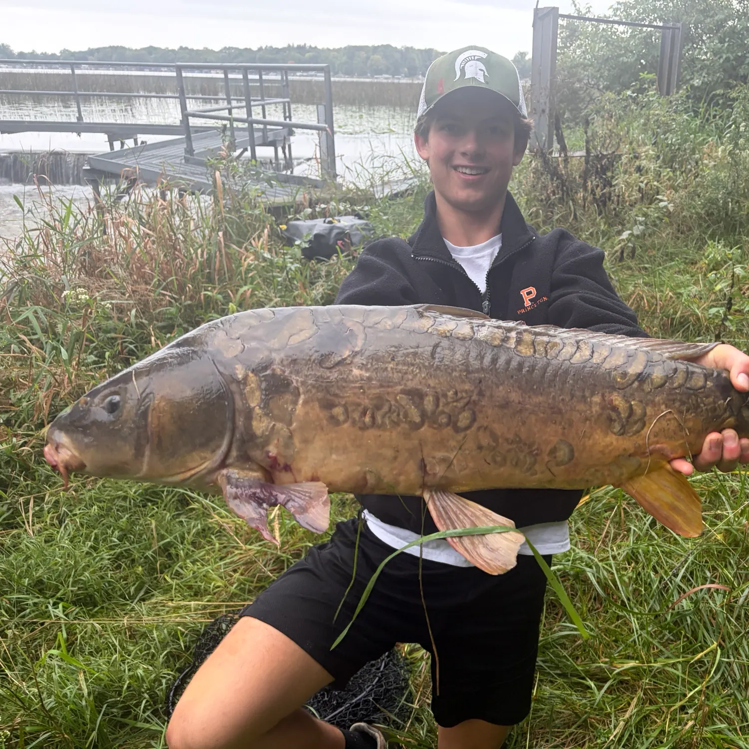 Mirror carp caught on Fishbrain