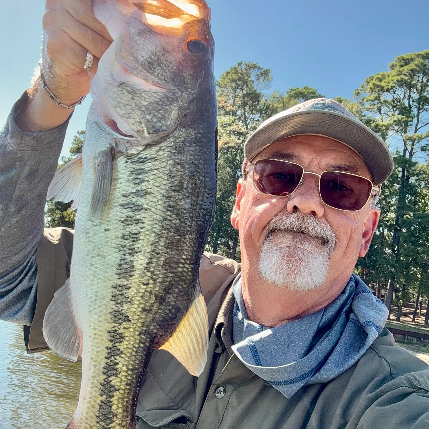 Largemouth bass caught on Fishbrain