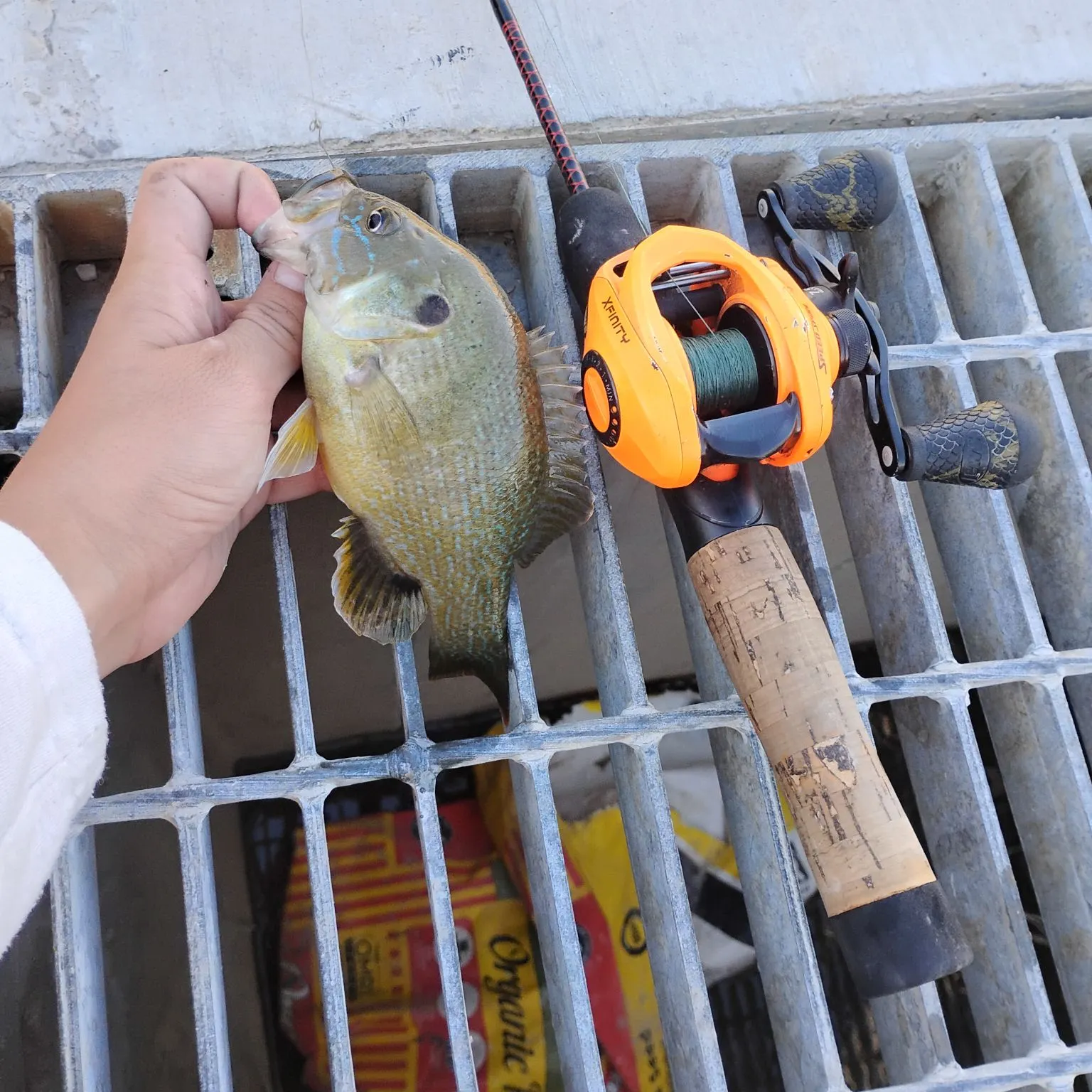 catch