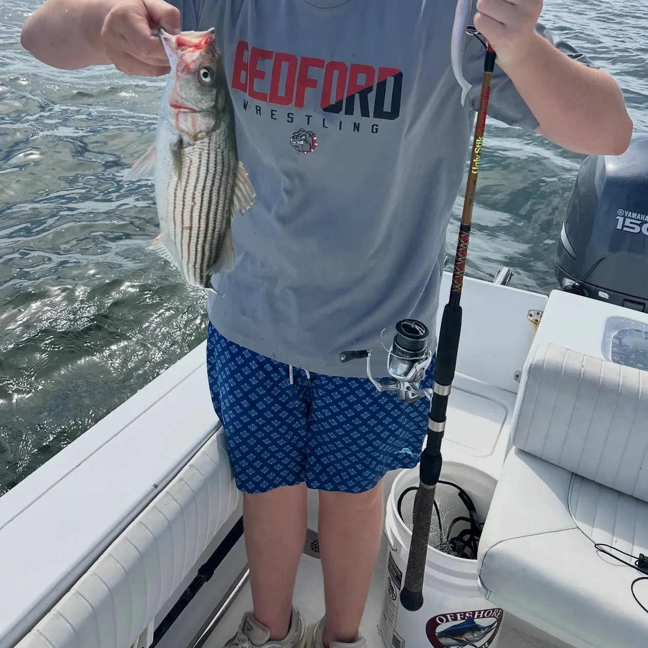 Striped bass caught on Fishbrain