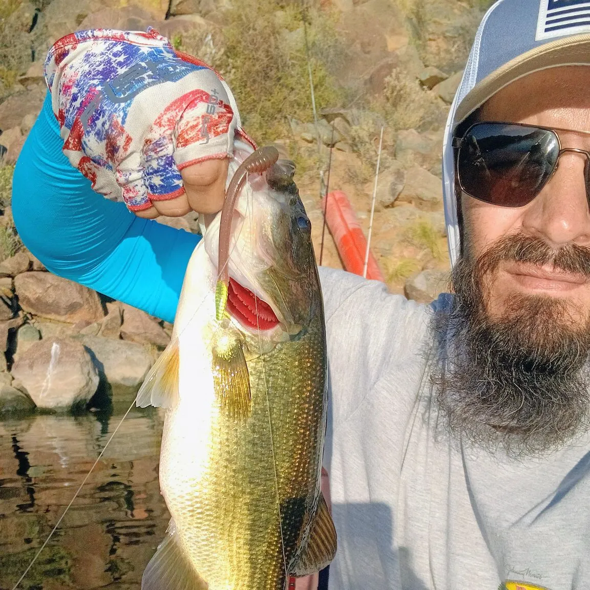 Largemouth bass caught on Fishbrain