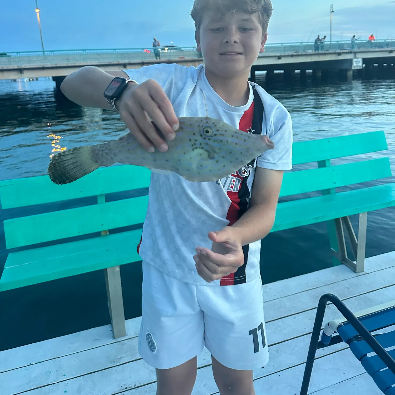 The most recent Thread-sail filefish catches on Fishbrain