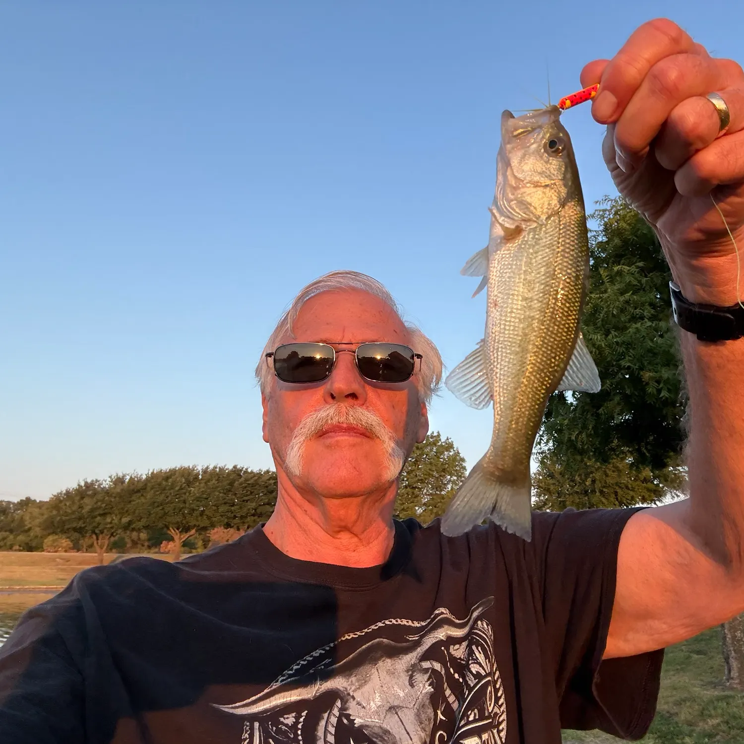 Largemouth bass caught on Fishbrain